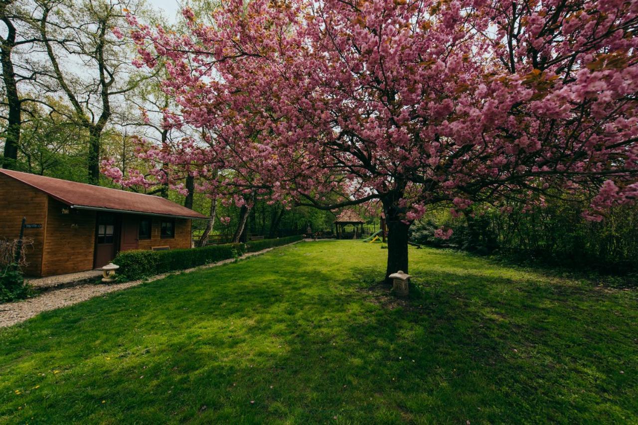 Shubu Zen Vendégház Szilvásvárad Exterior foto